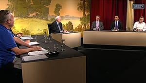 TV 2-regionerne - politikernes kæledægge