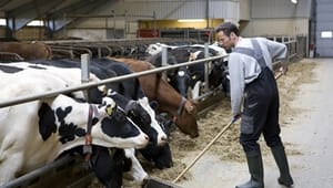 Danskerne: Landbrugsstøtten skal være væk i 2025