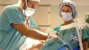 Hospitaler vil behandle patienter fra udlandet