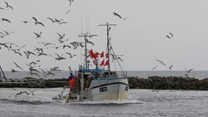 Kritik af Gjerskovs fiskeriudspil