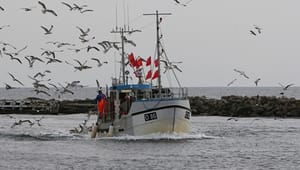 S-SF: Kystfiskeriet skal være mere bæredygtigt