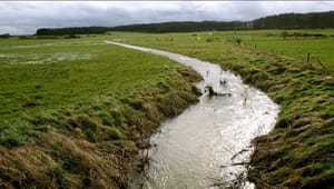 Landbrug: Fejl bør stoppe vandløbs-indsats