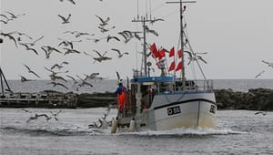 EU-forbud mod fiske-dumping på vej