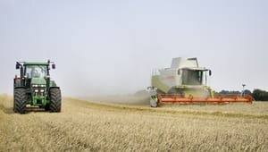 Forsker: Landbrug skal ikke bruge mere kvælstof