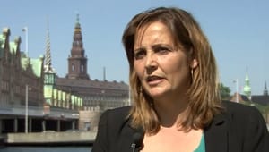 Olsen Dyhr: Den grønne eksport skal op i gear