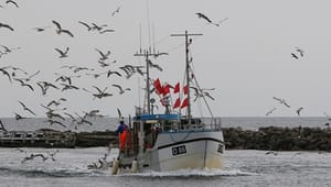 EU lander historisk fiskerireform