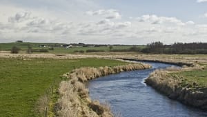 EU: Danske vandplaner overholder direktivet