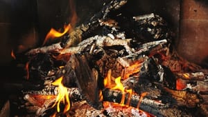 EL: Brændeafgift kan erstattes af skat på brændeovne