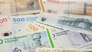 Statsrevisorer kritiserer kontrollen med danske EU-penge 