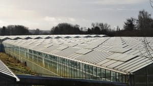 EU spænder ben for PSO-lempelser til gartnerier