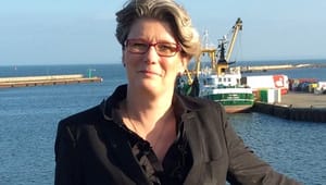 Danske Havne: Transportkommissær skal sikre ens konkurrencevilkår