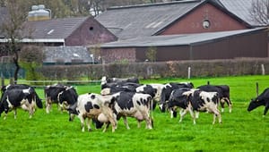 Forbud mod gødning sender lille regning til landmænd