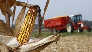 Vejen banet for nationale forbud mod GMO