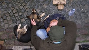 Danmark får uønsket EU-støtte til hjemløse