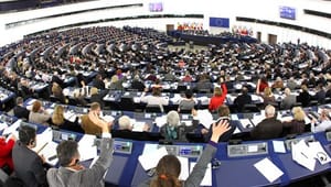 Parlamentarikere vil bevare grønne EU-forslag trods kaosafstemning