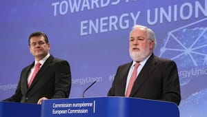 Prestigeprojekt skal fremtidssikre EU's energisektor