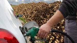 EU-institutioner når til enighed om biobrændstoffer
