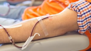 EU-dom sår tvivl om udelukkelse af homoseksuelle bloddonorer