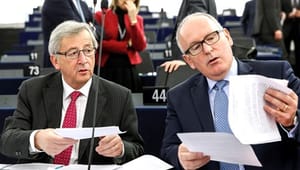 Topstyret EU-Kommission skiller vandene