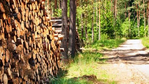 Skovforslag: Blå blok afliver krav om byttehandel