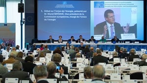 Organisationer i udskældt EU-udvalg: Man må udnytte alle veje til indflydelse