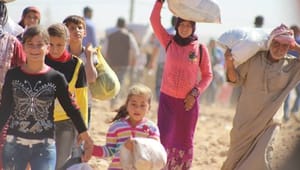 Organisationer: Asylstramning kan sende flere børn på flugt