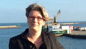 Danske Havne: Administrationen af plan- og miljølove er en vækstnøgle