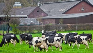 Danskerne mest kritiske over for landbrugsstøtte