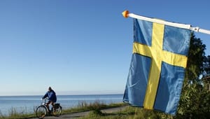 Svensk håndværkerfradrag sætter rekord