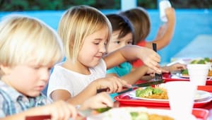 Professor: Mad- og måltidspolitik overses i sundhedsdebat