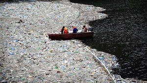 Ngo'er: Plastikkrise i skyggen af klimaforandringer