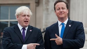Ekspert: Cameron spiller russisk roulette med EU-medlemskab
