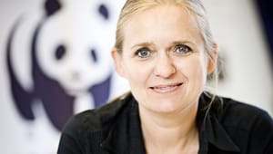 Gitte Seeberg: Det haster, Eva Kjer