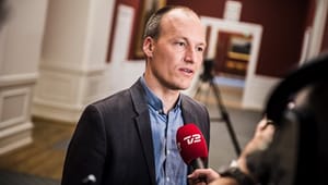 Enhedslisten: A.P. Møller burde betale mere i skat