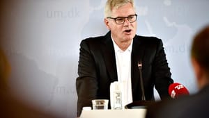 Rapport: Sådan skal Danmarks udenrigspolitik være