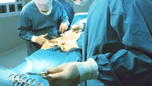Fra hæfteplaster til hofteimplantater: Nye regler på plads om medicinsk udstyr