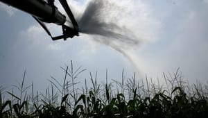 KU-forskere: CBS-rapport om landbrugets rammevilkår er ubrugelig