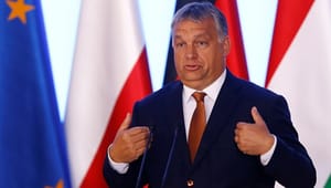 Kraka: Ungarsk afstemning er en sten i EU's sko