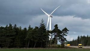 Regeringen vil give plads til vindmøller i skoven