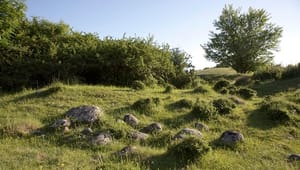 Naturbeskyttelse.dk: Stadig grund til bekymring over sten-indsamling