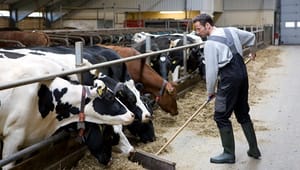 EU-revisorer kritiserer landbrugskontrol 