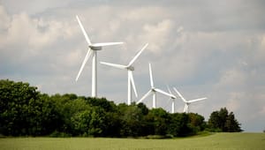 Danskerne siger nej til vindmøller i skovene