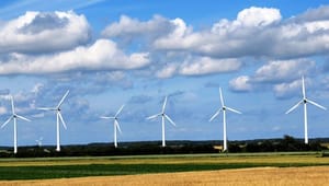 Chefer for vindenergi: Landmøller er fortsat den billigste brik i puslespillet 