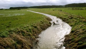 Esben Lunde om vandplaner: Højst 1.500 kilometer vandløb bør genovervejes
