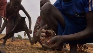 Hungersnød i Sydsudan: Politikere vil øge hjælpen