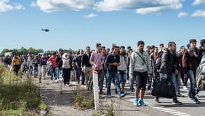 Tænketank: Danmark er udsat uden for EU's fælles asylsystem