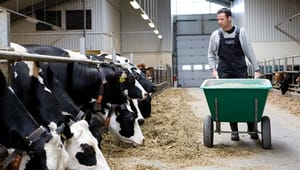 68 forslag skal forenkle EU's landbrugspolitik