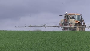 Udkast til ny pesticid-aftale vil begrænse roundup på markerne