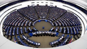 NGO: Bendt Bendtsen blokerer for en god, demokratisk debat om EU
