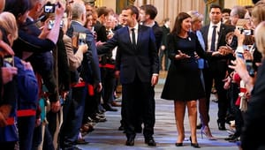 Morten Helveg: Macron fyrer ikke for gråspurvene